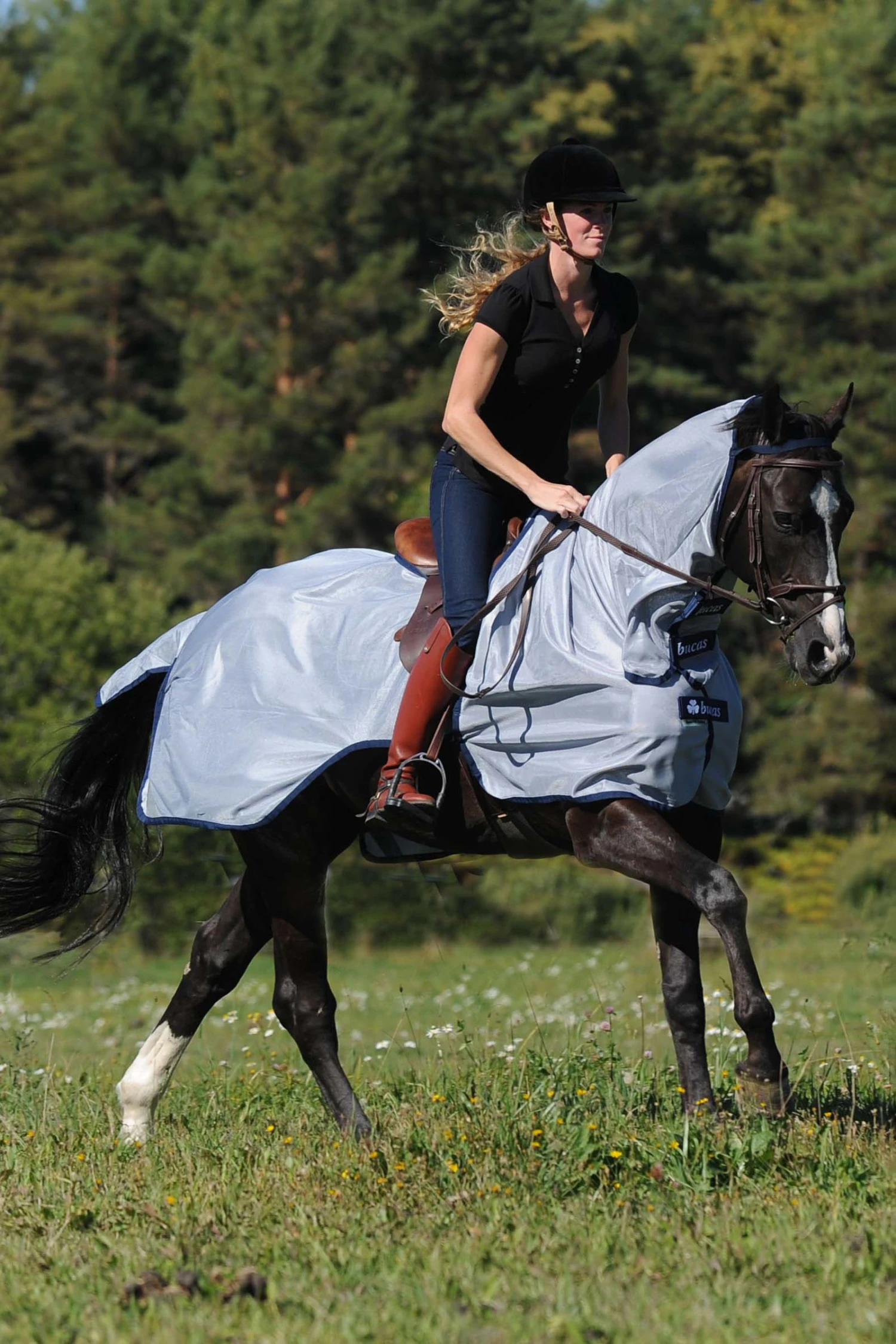 Bucas Buzz Off Fliegenausreitdecke 2 Bucas Buzz Off Fliegenausreitdecke – Bild 2