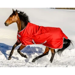 Bucas Freedom Turnout 150g, Pony Decke -Pferdebedarf Verkauf 300449 SRE 1