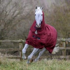 Bucas Freedom Turnout Full Neck Regendecke Mit Festem Halsteil, 0g 15 Bucas Freedom Turnout Full Neck Regendecke Mit Festem Halsteil, 0g -Pferdebedarf Verkauf 300453 CRE 2