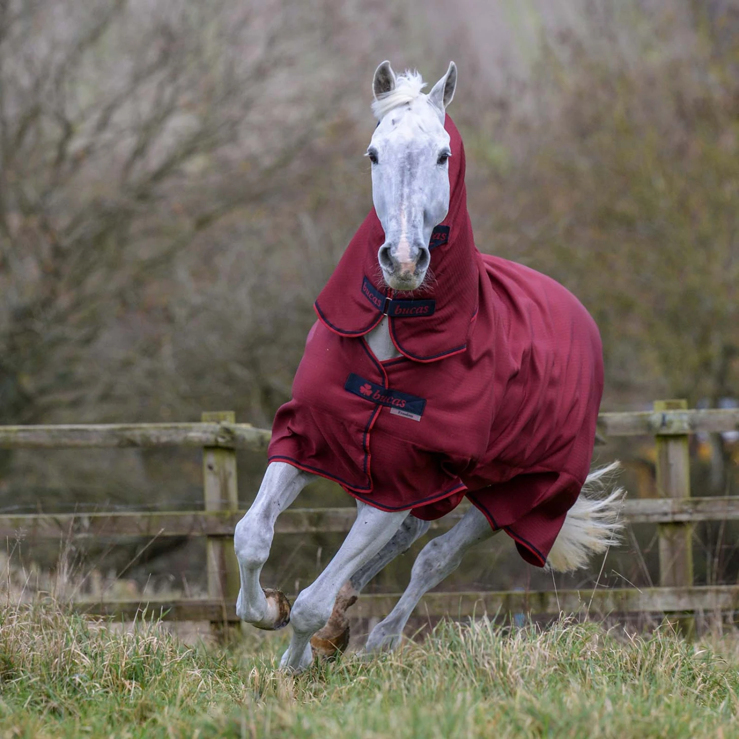 Bucas Freedom Turnout Full Neck Regendecke Mit Festem Halsteil, 0g 6 Bucas Freedom Turnout Full Neck Regendecke Mit Festem Halsteil, 0g – Bild 6