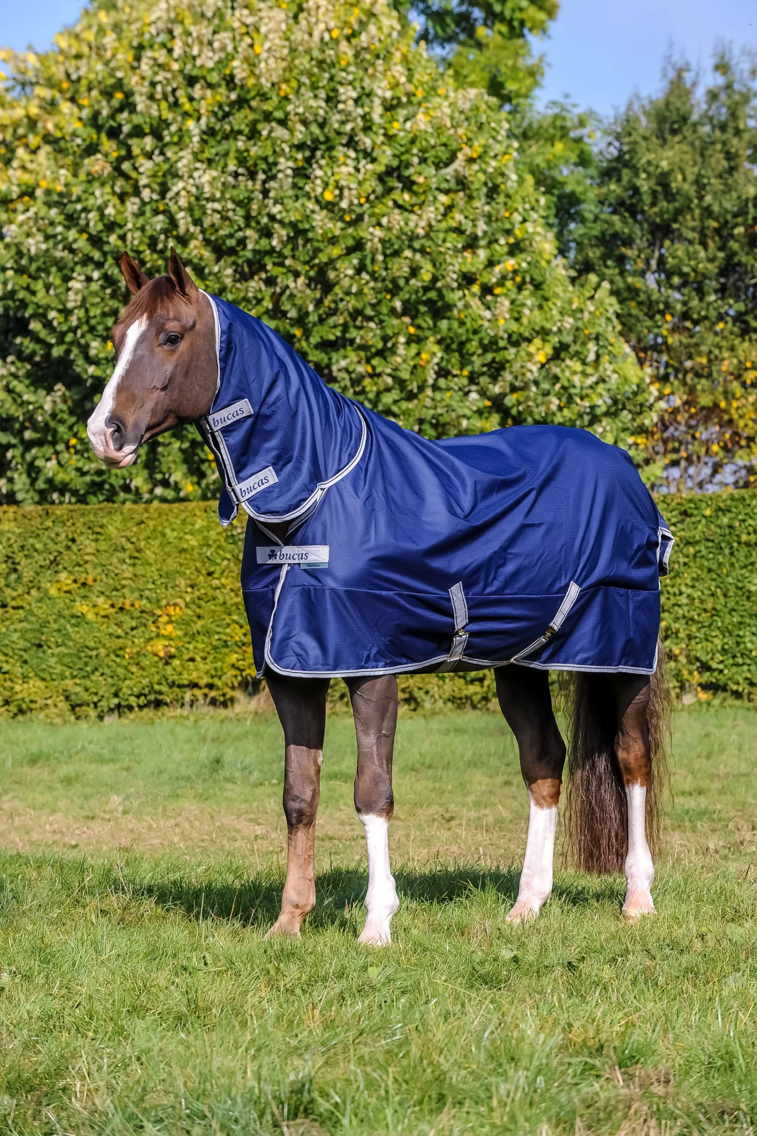Bucas Freedom Turnout Full Neck Regendecke Mit Festem Halsteil, 0g 1 Bucas Freedom Turnout Full Neck Regendecke Mit Festem Halsteil, 0g
