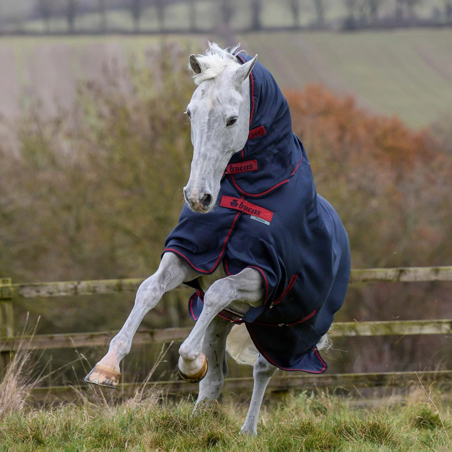 Bucas Freedom Turnout Full Neck Regendecke Mit Festem Halsteil, 0g 8 Bucas Freedom Turnout Full Neck Regendecke Mit Festem Halsteil, 0g – Bild 8