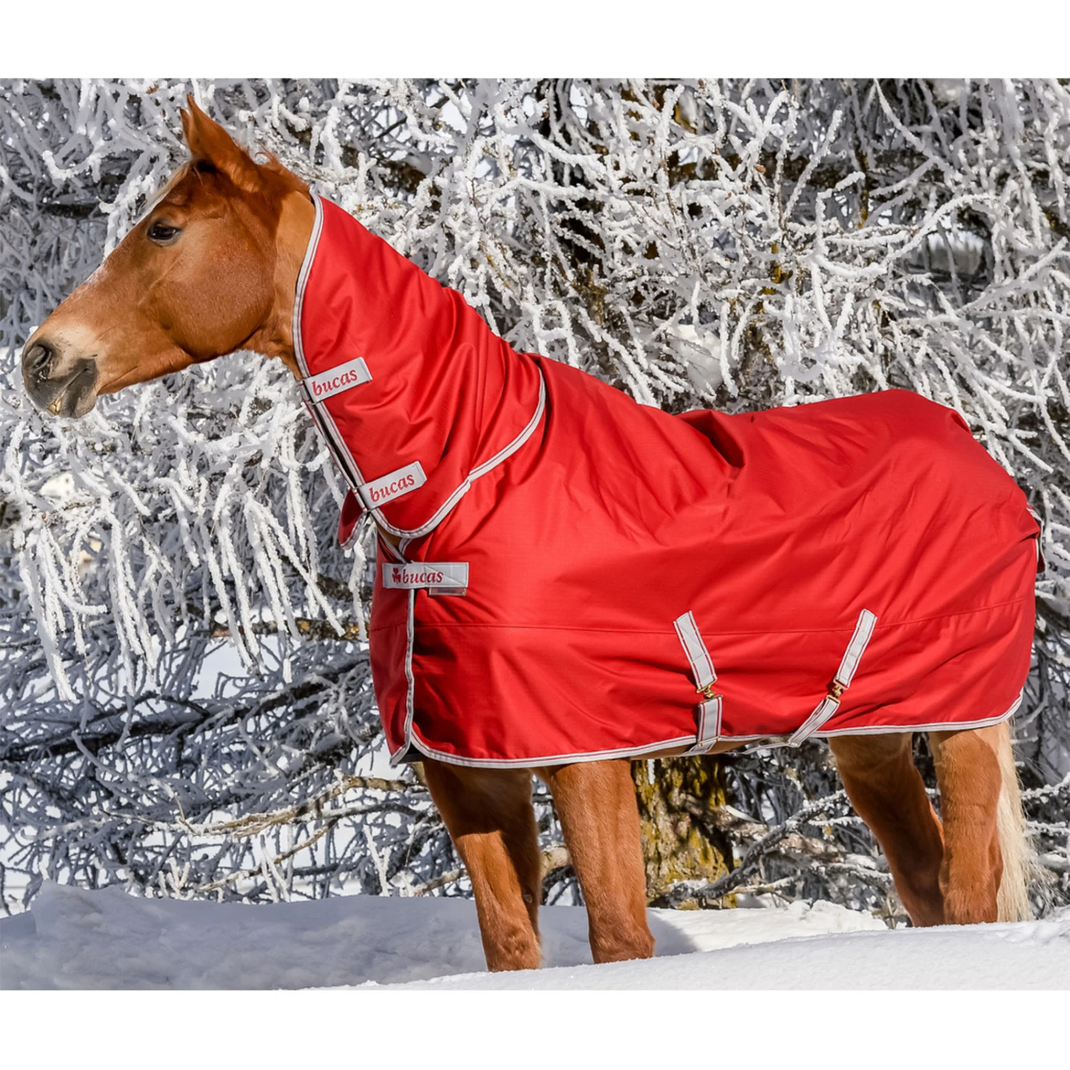 Bucas Freedom Turnout Full Neck Regendecke Mit Festem Halsteil, 0g 9 Bucas Freedom Turnout Full Neck Regendecke Mit Festem Halsteil, 0g – Bild 9