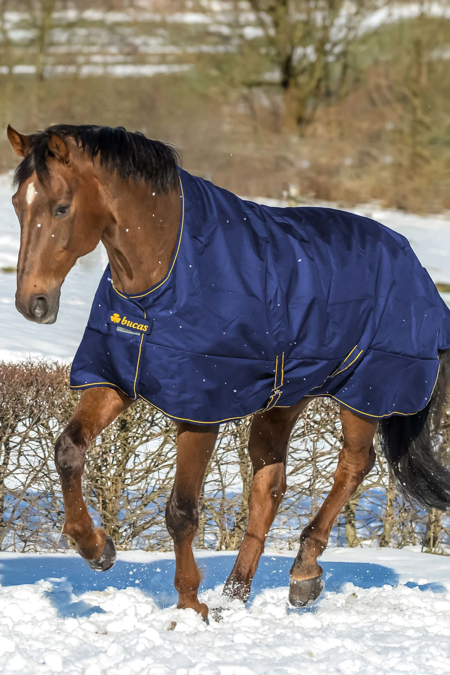 Bucas Irish Turnout Regendecke Mit Hohem Hals, 50g 2 Bucas Irish Turnout Regendecke Mit Hohem Hals, 50g – Bild 2