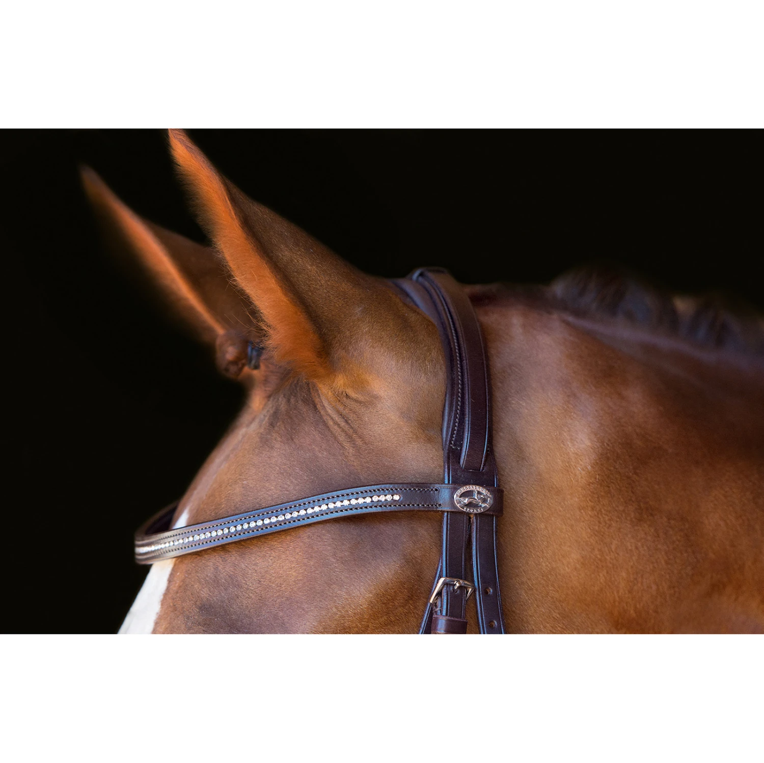 Schockemöhle Copenhagen Trense 3 Schockemöhle Copenhagen Trense – Bild 3