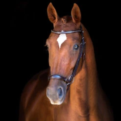 Schockemöhle Copenhagen Trense 7 Schockemöhle Copenhagen Trense -Pferdebedarf Verkauf 306265 DBR SI 3