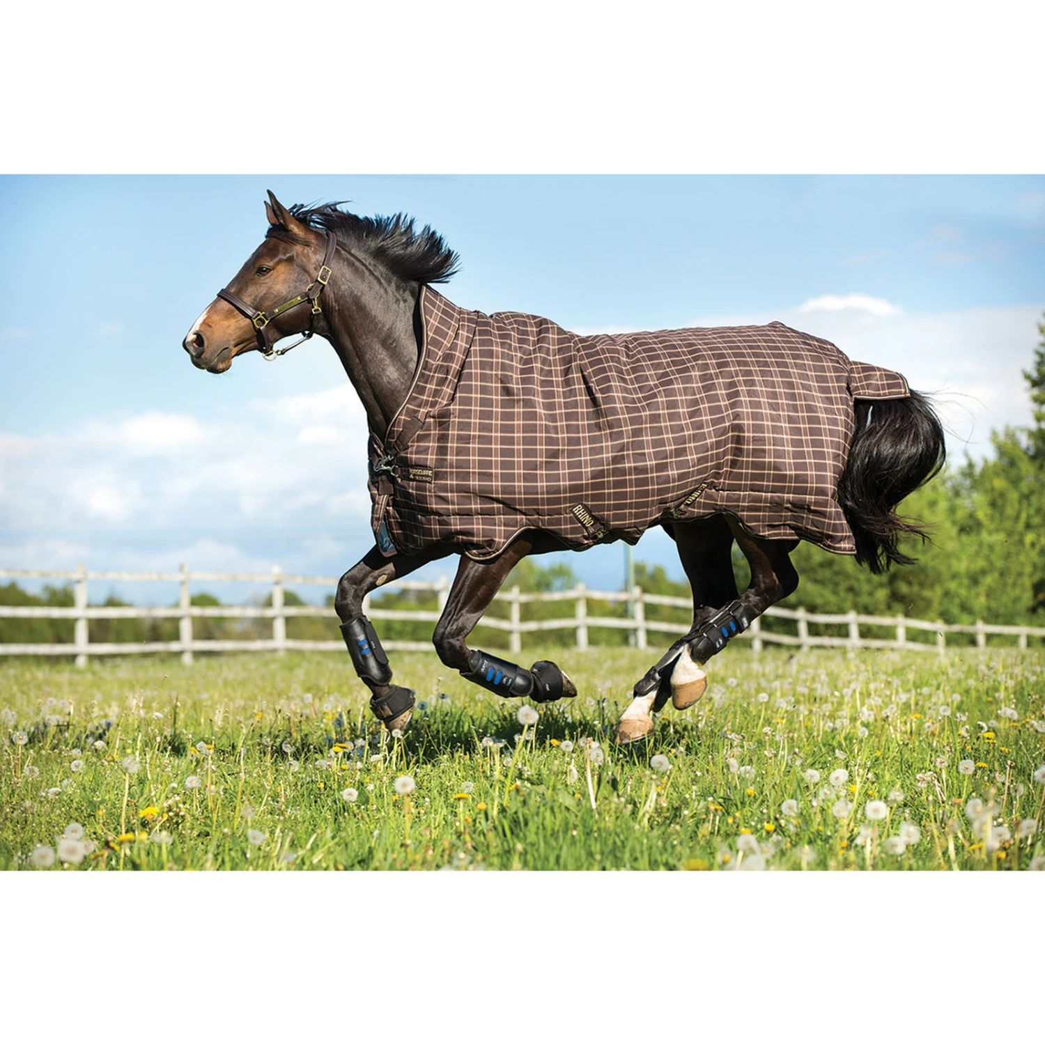 Horseware Rhino Wug Regendecke Mit Hohem Hals, 100g 2 Horseware Rhino Wug Regendecke Mit Hohem Hals, 100g – Bild 2