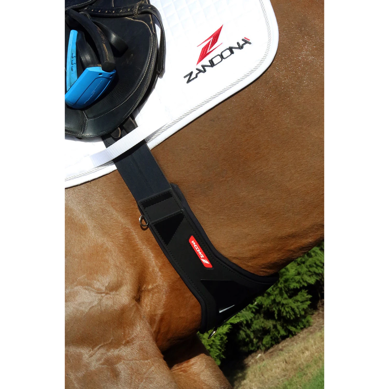 Zandona CARBON AIR Candy Gurt 4 Zandona CARBON AIR Candy Gurt – Bild 4