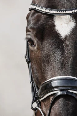 Schockemöhle Malibu Dressur-Trense Mit Kristalldetail 11 Schockemöhle Malibu Dressur-Trense Mit Kristalldetail -Pferdebedarf Verkauf 313775 BL PTG 3