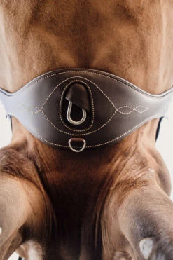 Kentucky Horsewear Anatomischer Gurt -Pferdebedarf Verkauf 316147 BR 3