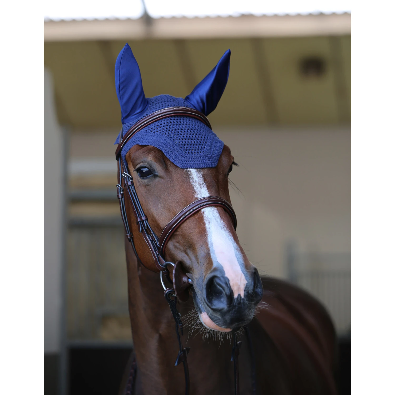 Kentucky Horsewear Wellington Fliegenhaube 7 Kentucky Horsewear Wellington Fliegenhaube – Bild 7