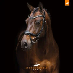 Schockemöhle Equitus Beta Anatomische Spezialtrense -Pferdebedarf Verkauf 322313 BL SI 3