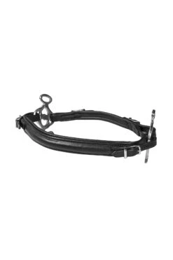 FRA Calli Hackamore (System 2) Mit Zügeln -Pferdebedarf Verkauf 322945 BL 2