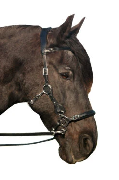 FRA Calli Hackamore (System 2) Mit Zügeln -Pferdebedarf Verkauf 322945 BL 3