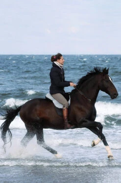 FRA Macon Extra Lammfell Reitkissen Mit Pauschen, S -Pferdebedarf Verkauf 322957 BL G 2