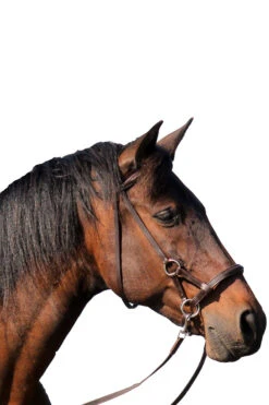 FRA Pardoes Sidepull (System 3) Leder Mit Anti Slip Zügeln -Pferdebedarf Verkauf 322960 BR 2