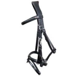 Karlslund Reithalfter