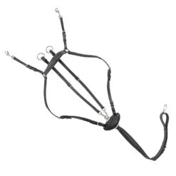 Kavalkade Vorderzeug Dekor, W