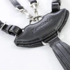 Kavalkade Vorderzeug Dekor, W -Pferdebedarf Verkauf 325207 BL 3