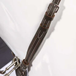 Kavalkade Vorderzeug Dekor, W -Pferdebedarf Verkauf 325207 BR 2