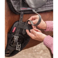 Lemieux Dressurgurt-Überzug -Pferdebedarf Verkauf 326245 BL 2