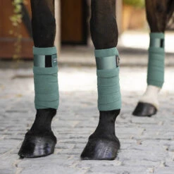 LeMieux Loire Polo-Bandagen -Pferdebedarf Verkauf 329146 SBGR 2