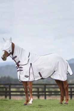 Weatherbeeta Comfitec Essential Mesh II Fliegendecke Mit Festem Halsteil -Pferdebedarf Verkauf 329554 WH DRE 1