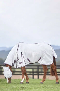 Weatherbeeta Comfitec Essential Mesh II Fliegendecke Mit Festem Halsteil -Pferdebedarf Verkauf 329554 WH DRE 2