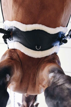 Kentucky Horsewear Lederkurzgurt Sheepskin Dressage -Pferdebedarf Verkauf 329961 BL 5