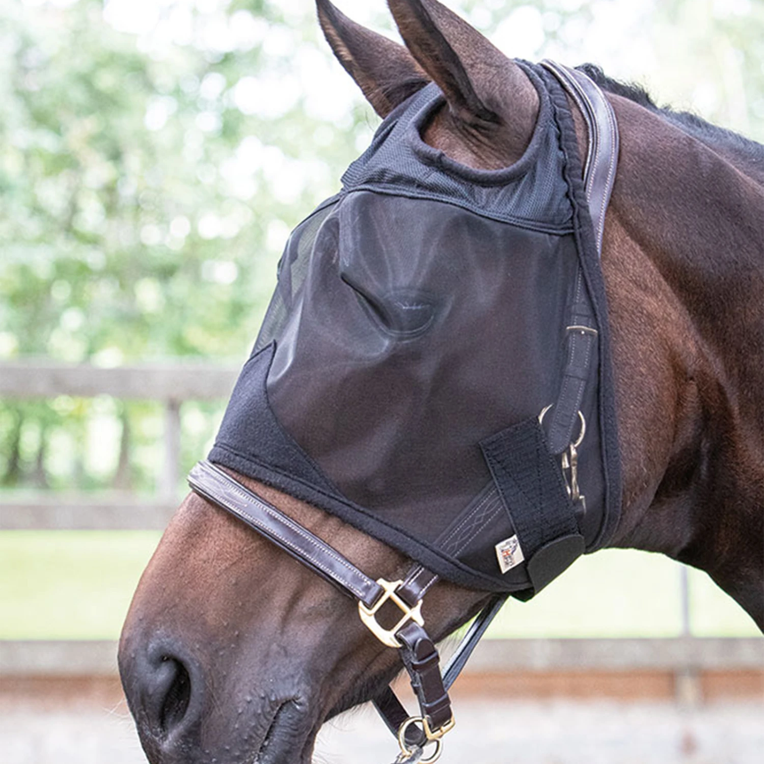 Harry's Horse Fliegenmaske Flyshield Ohne Ohren 2 Harry's Horse Fliegenmaske Flyshield Ohne Ohren – Bild 2