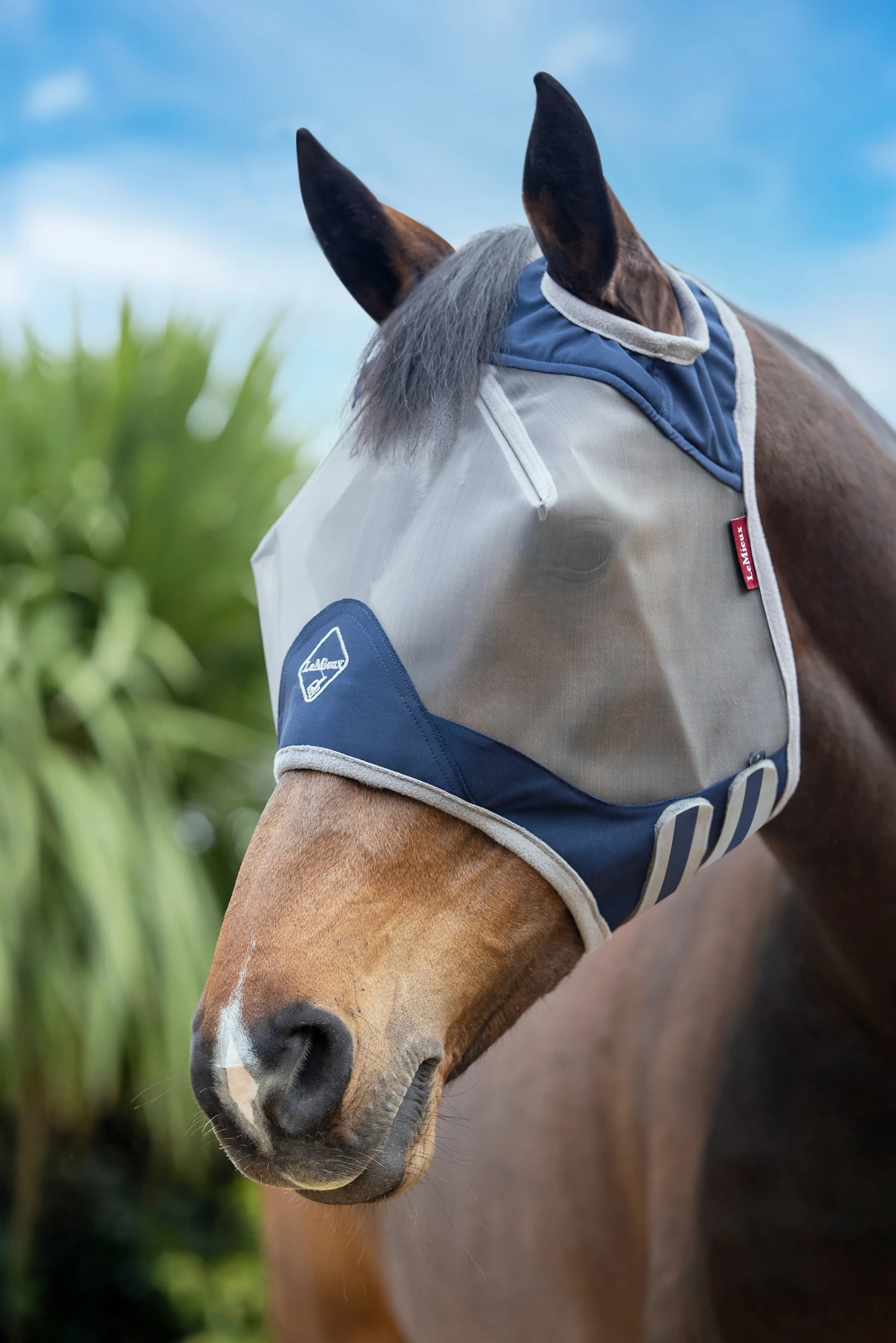 LeMieux Armour Shield Pro Fliegenschutzmaske Standard 1 LeMieux Armour Shield Pro Fliegenschutzmaske Standard