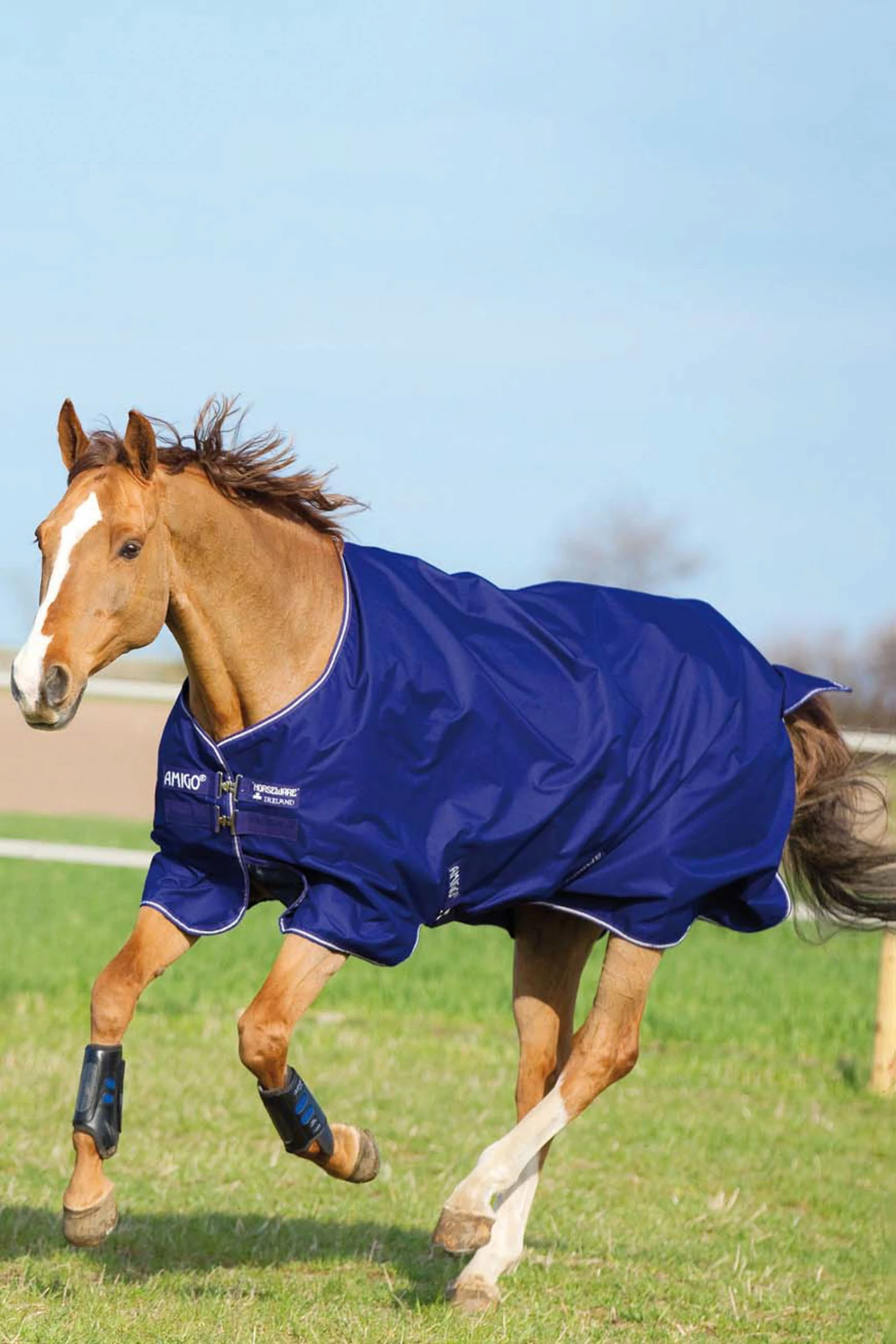 Horseware Amigo Hero 900 T/O Med Winterdecke, 200g 1 Horseware Amigo Hero 900 T/O Med Winterdecke, 200g