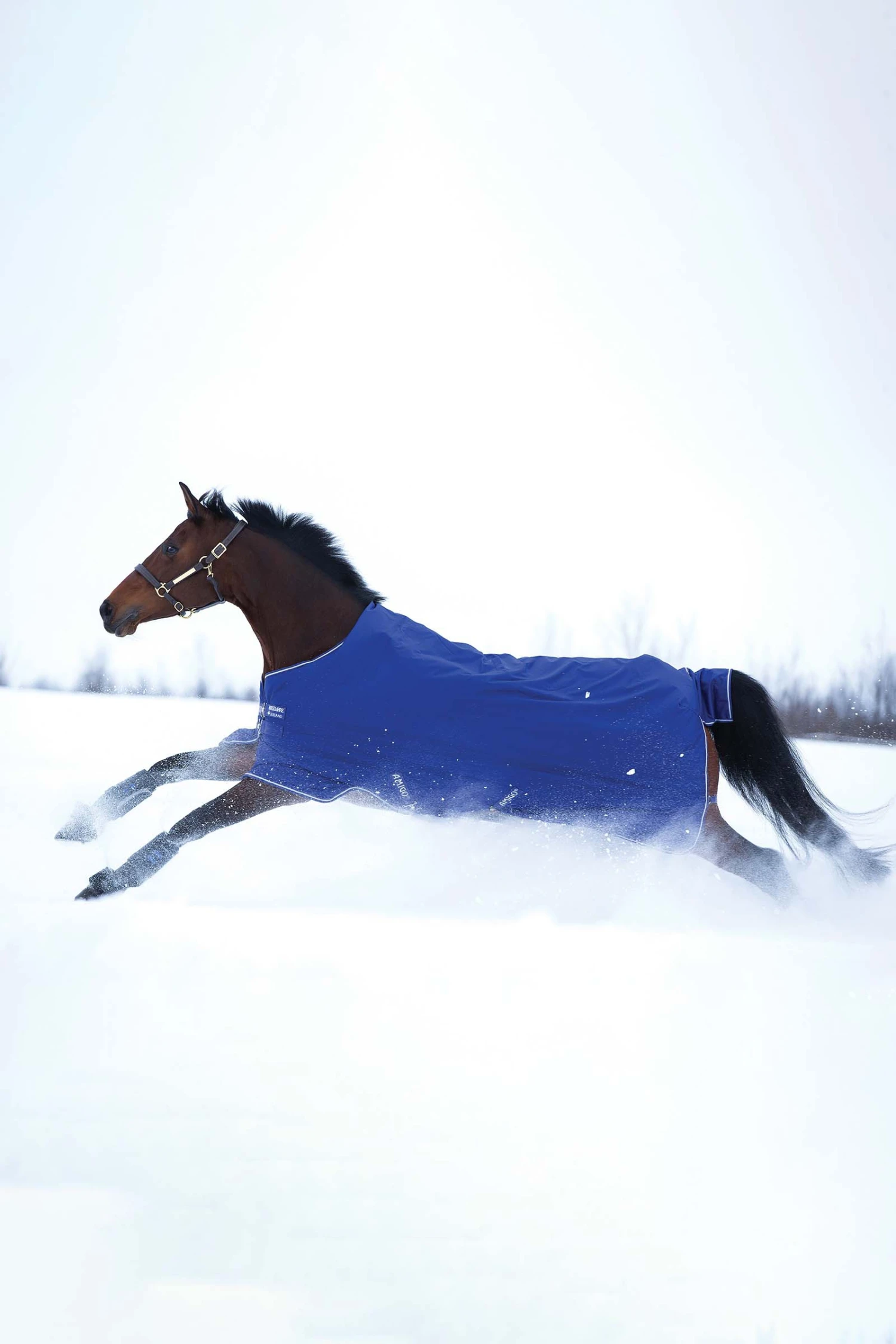 Horseware Amigo Hero 900 T/O Med Winterdecke, 200g 2 Horseware Amigo Hero 900 T/O Med Winterdecke, 200g – Bild 2
