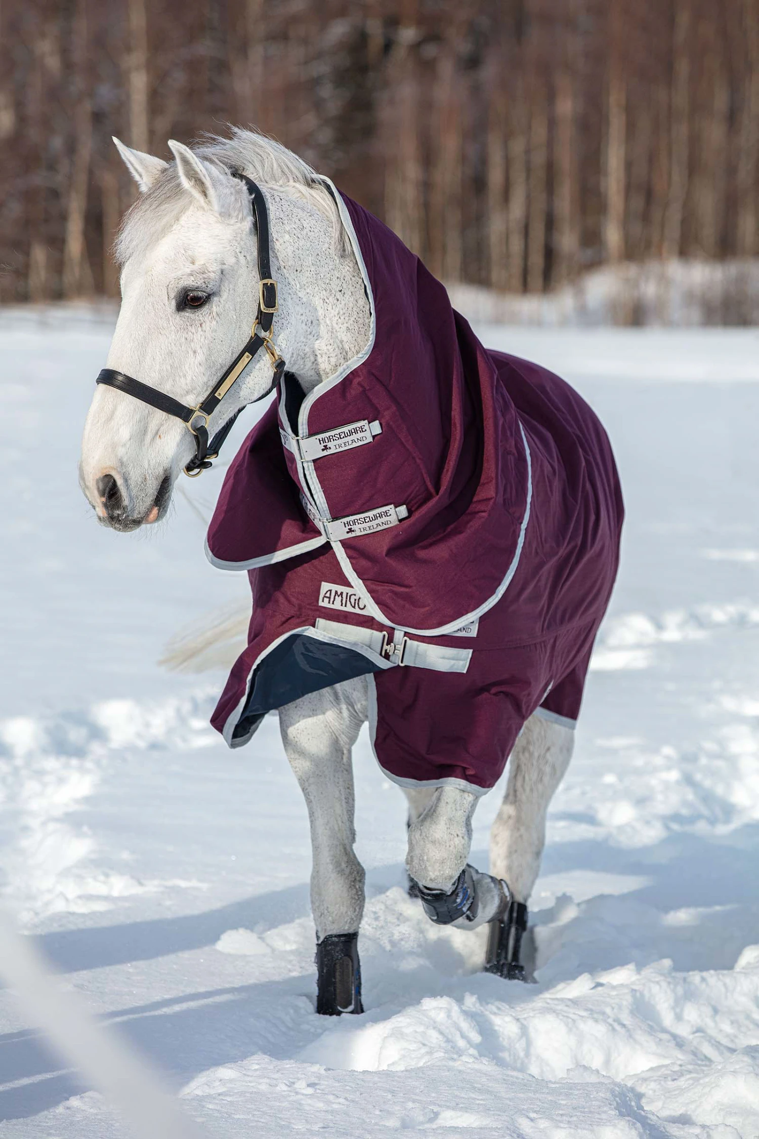 Horseware Amigo Hero Ripstop Plus Medium Winterdecke Mit Abnehmbarem Halsteil, 200g 2 Horseware Amigo Hero Ripstop Plus Medium Winterdecke Mit Abnehmbarem Halsteil, 200g – Bild 2