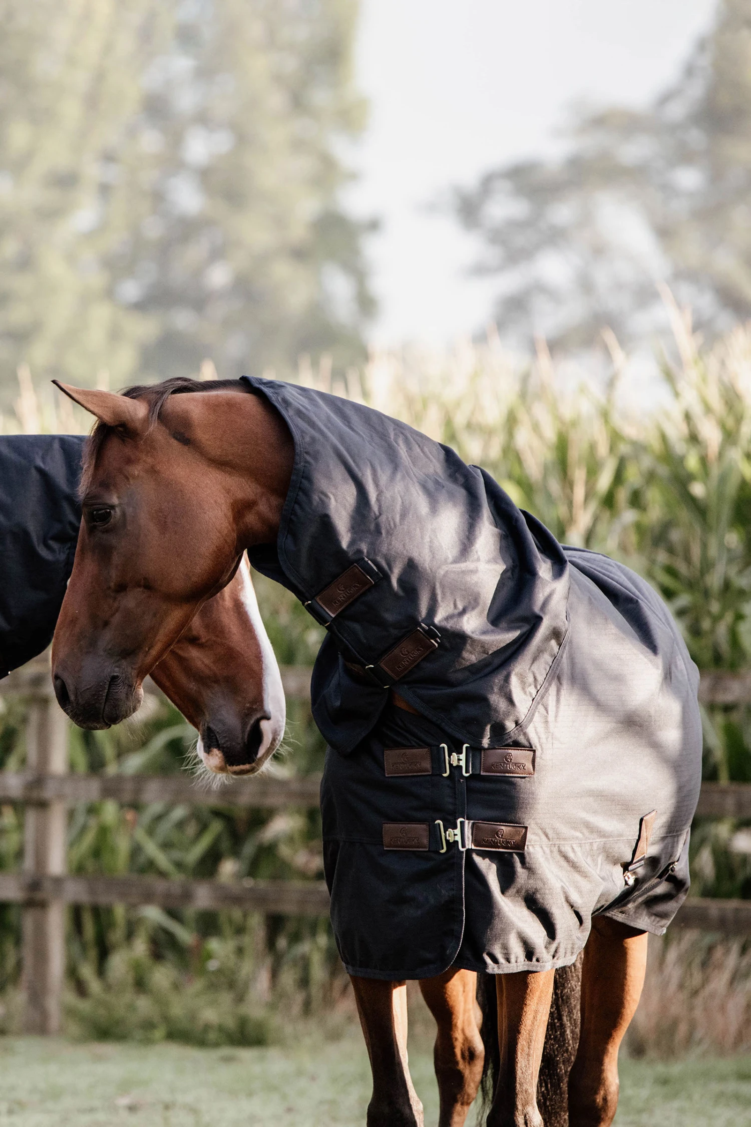 Kentucky Horsewear All Weather Waterproof Classic Regendecke, 0g 1 Kentucky Horsewear All Weather Waterproof Classic Regendecke, 0g