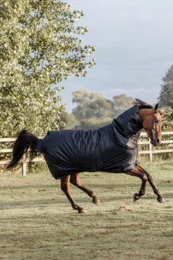 Kentucky Horsewear All Weather Waterproof Classic Regendecke, 0g 5 Kentucky Horsewear All Weather Waterproof Classic Regendecke, 0g -Pferdebedarf Verkauf 332981 DB 3