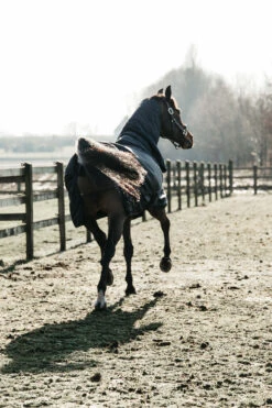 Kentucky Horsewear All Weather Waterproof Classic Regendecke, 50g -Pferdebedarf Verkauf 332982 DB 3