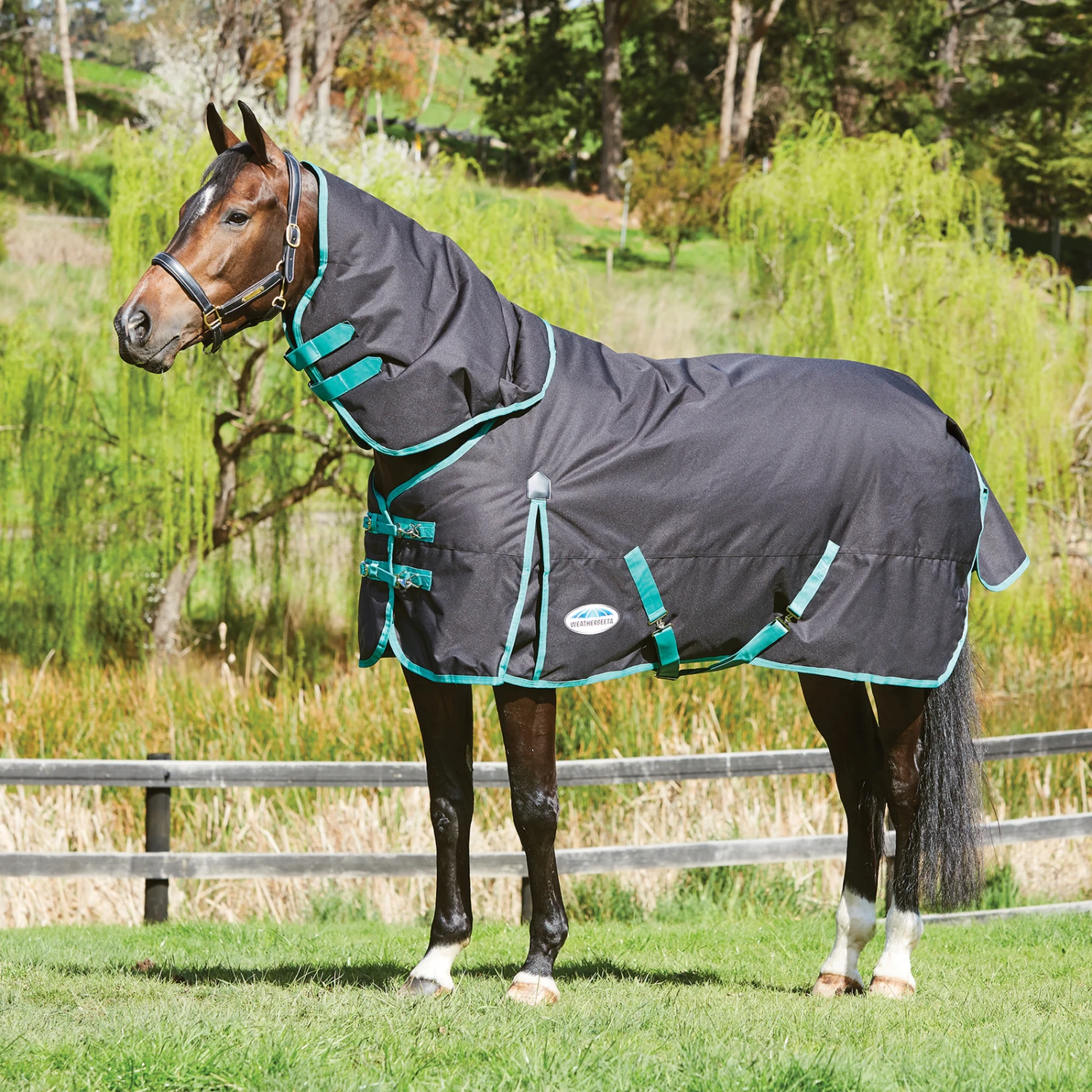 Weatherbeeta Green-Tec Regendecke Mit Abnehmbarem Halsteil, 50g 2 Weatherbeeta Green-Tec Regendecke Mit Abnehmbarem Halsteil, 50g – Bild 2