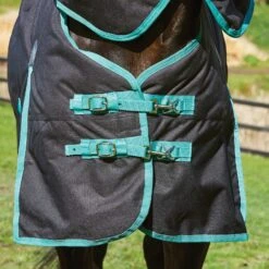 Weatherbeeta Green-Tec Regendecke Mit Abnehmbarem Halsteil, 50g 6 Weatherbeeta Green-Tec Regendecke Mit Abnehmbarem Halsteil, 50g -Pferdebedarf Verkauf 333104 BL BDGR 3