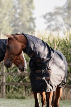 Kentucky Horsewear All Weather Waterproof Classic, Regendecke, 150g -Pferdebedarf Verkauf 333287 DB 6