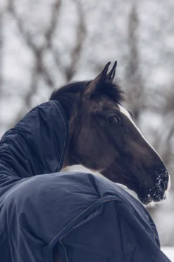 Kentucky Horsewear All Weather Waterproof Classic Winterdecke, 300g -Pferdebedarf Verkauf 333289 DB 6