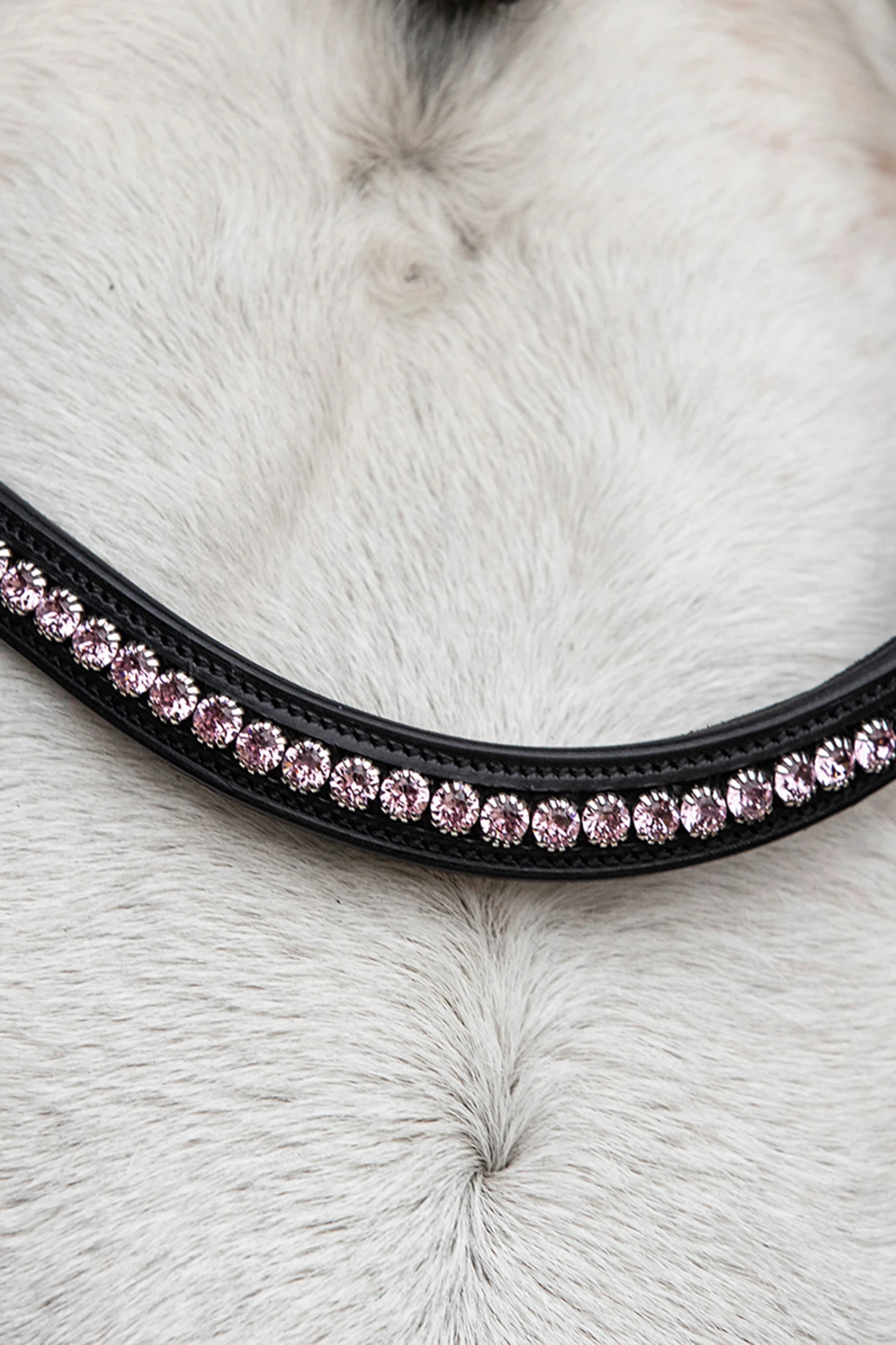 Schockemöhle Diamond Select Stirnriemen 6 Schockemöhle Diamond Select Stirnriemen – Bild 6