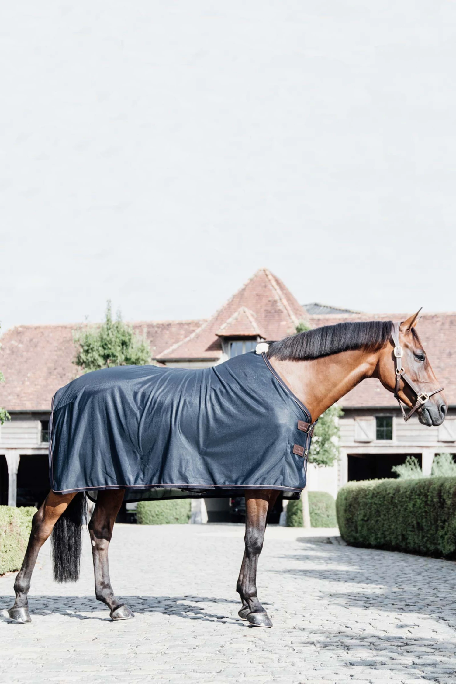 Kentucky Horsewear Mesh Fliegendecke 2 Kentucky Horsewear Mesh Fliegendecke – Bild 2