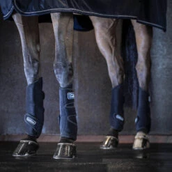 LeMieux Tendon Chill Kühlgamaschen -Pferdebedarf Verkauf 335036 BL 4