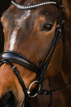 Schockemöhle Brantford Trense -Pferdebedarf Verkauf 335283 BL PTG 7