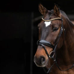 Schockemöhle Stanton Select Trense -Pferdebedarf Verkauf 335292 PBL OR SI 2