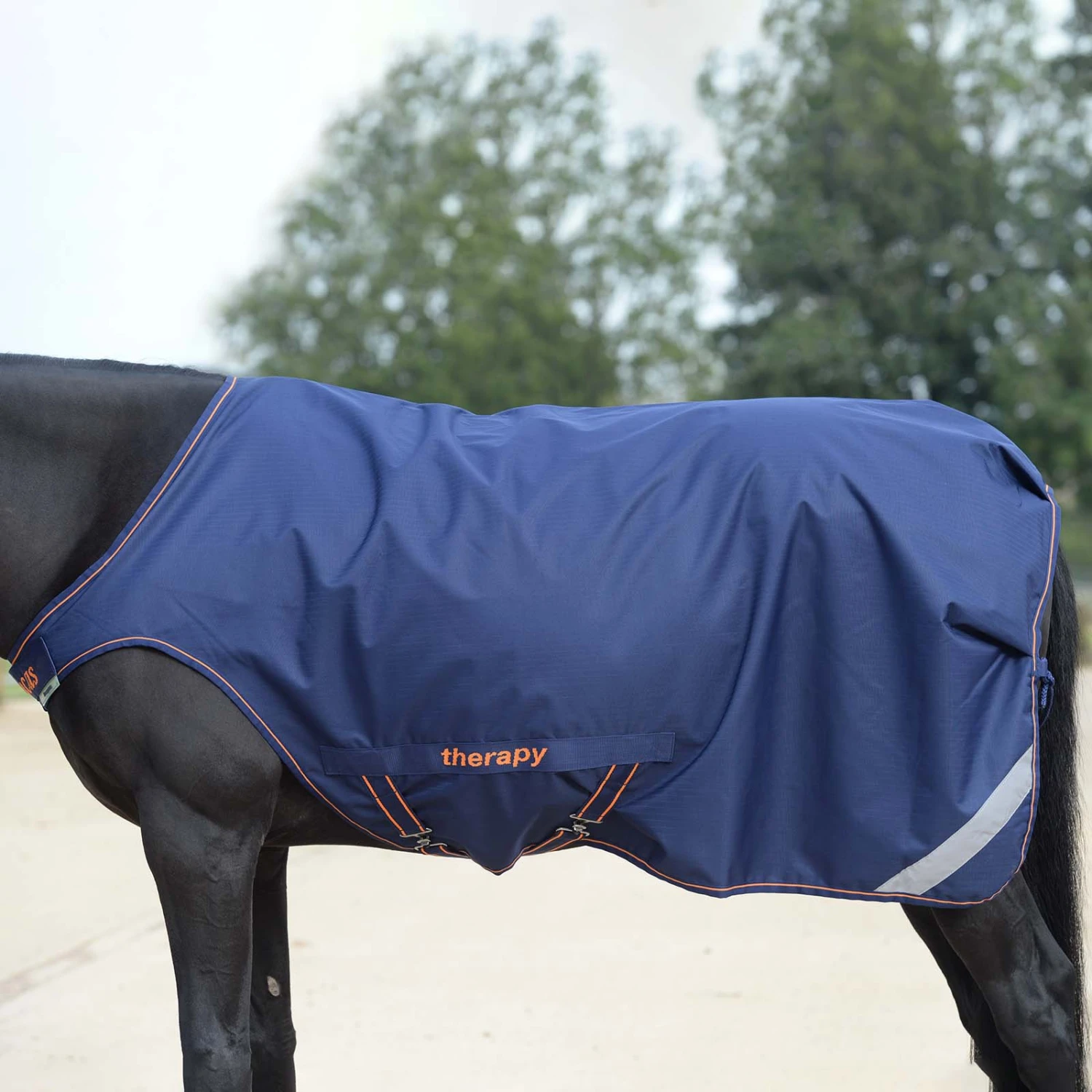 Bucas Therapy Walker Führanlagendecke 1 Bucas Therapy Walker Führanlagendecke