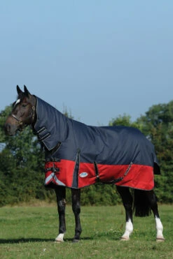 Weatherbeeta Comfitec Plus Dynamic II Weidedecke Mit Integriertem Halsteil, 100g -Pferdebedarf Verkauf 335953 BL RE SI 1