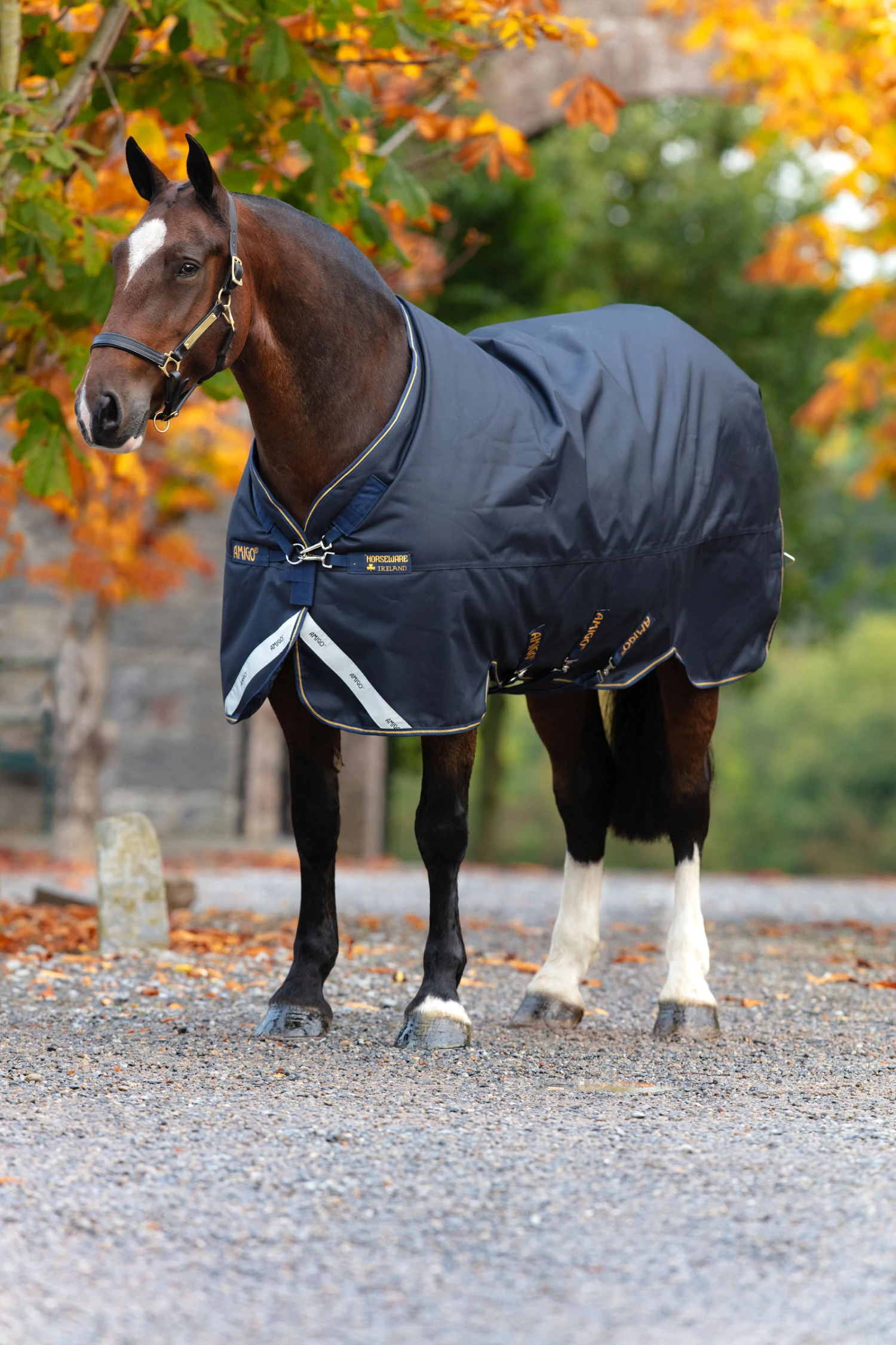 Horseware Amigo Bravo 12 XL Weidedecke, 250g 1 Horseware Amigo Bravo 12 XL Weidedecke, 250g