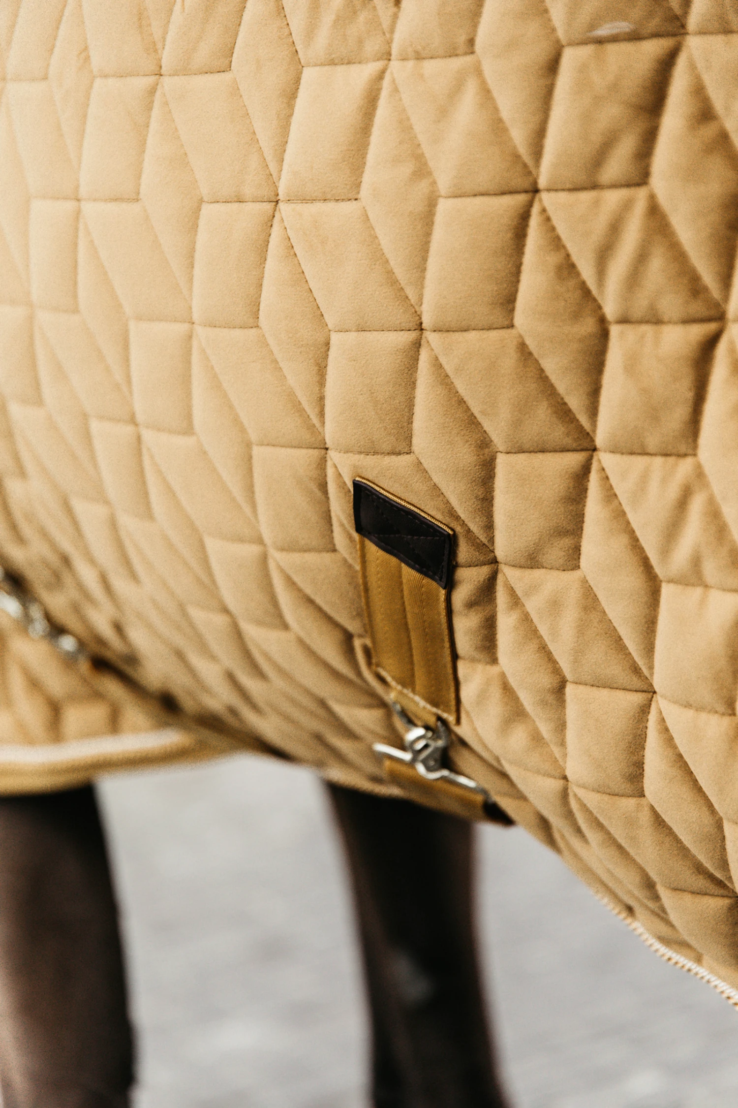 Kentucky Horsewear Velvet Turnierdecke, 160g 11 Kentucky Horsewear Velvet Turnierdecke, 160g – Bild 11